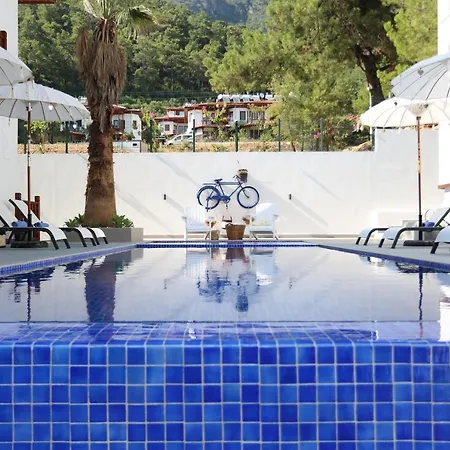 Διαμέρισμα Alp Pinehill