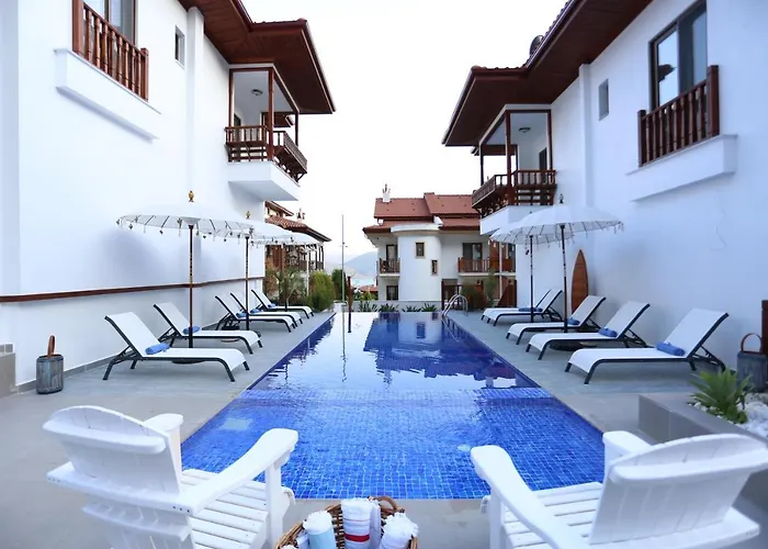 Alp Pinehill 아키아카