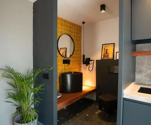 Alp Pinehill 아키아카